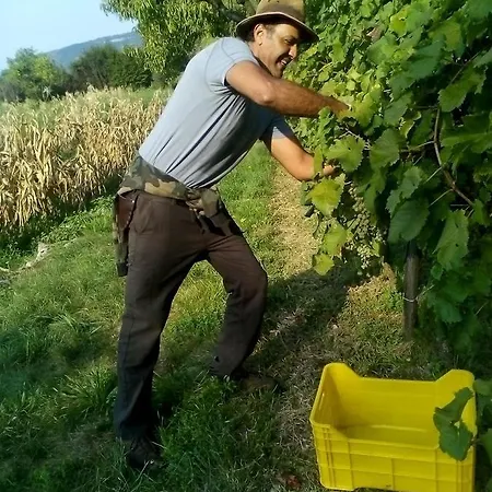 Εξοχικό σπίτι Country Club Da Cesco